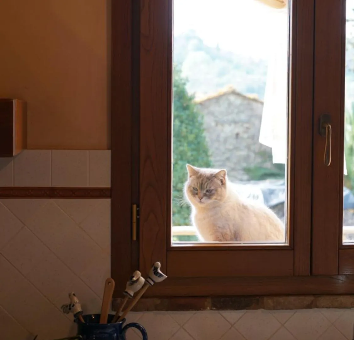 Agriturismo Podere le Tombe Affittacamere Palaia Casa di campagna