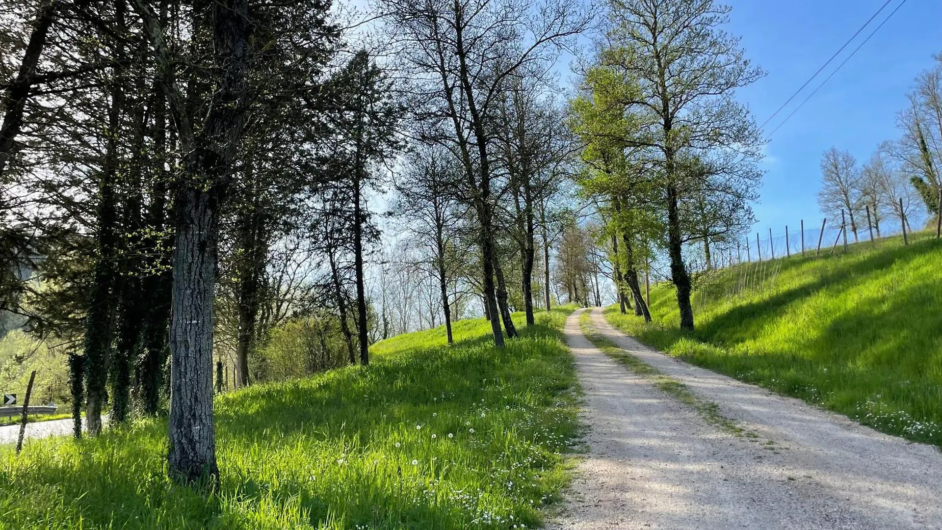 Agriturismo Podere Le Tombe Guest House Palaia Italy