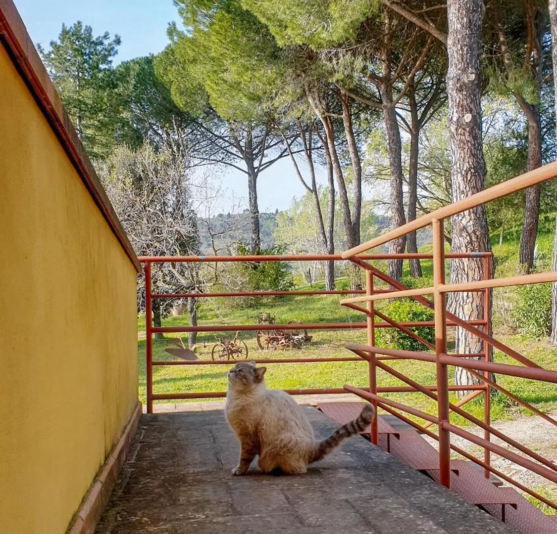 Agriturismo Podere Le Tombe Guest House Palaia