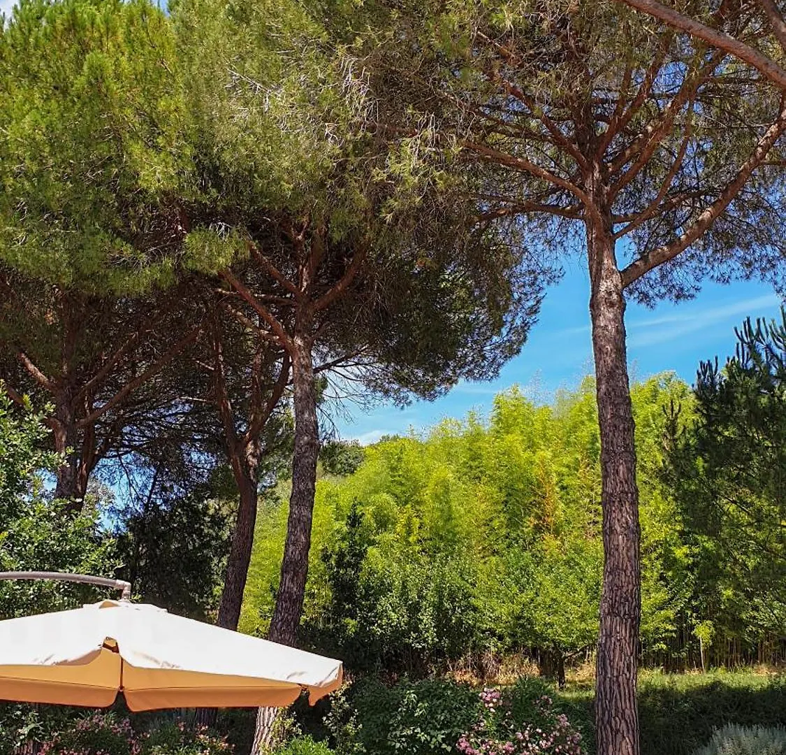 Agriturismo Podere Le Tombe Palaia 0*,  Italy